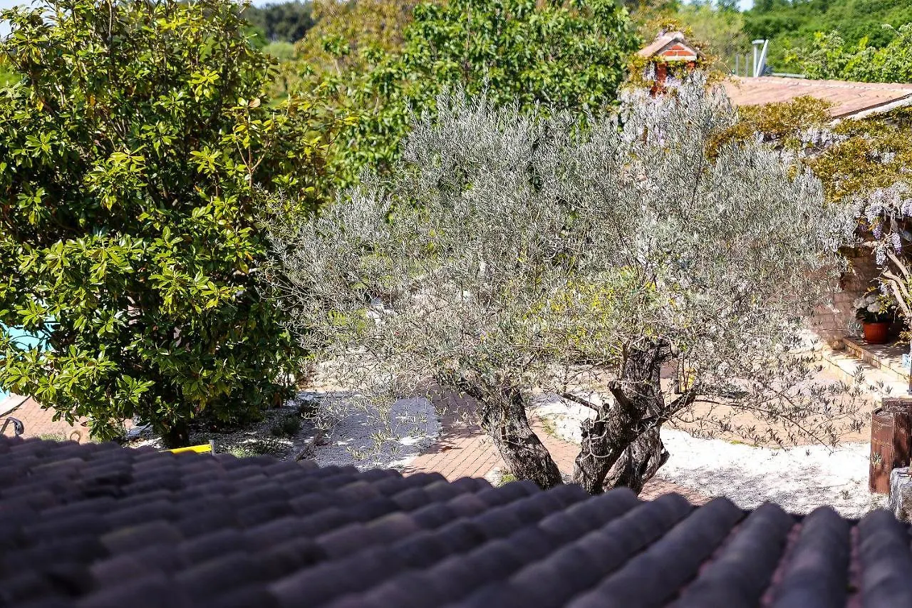 Casa Rustica Dva Baladura Apartments Kanfanar Kroatië